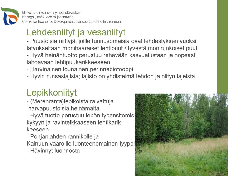 - Hyvin runsaslajisia; lajisto on yhdistelmä lehdon ja niityn lajeista Lepikkoniityt - (Merenranta)lepikoista raivattuja harvapuustoisia heinämaita - Hyvä