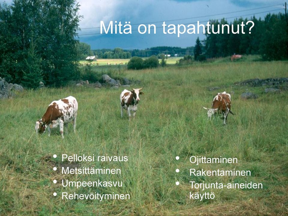 Umpeenkasvu Rehevöityminen