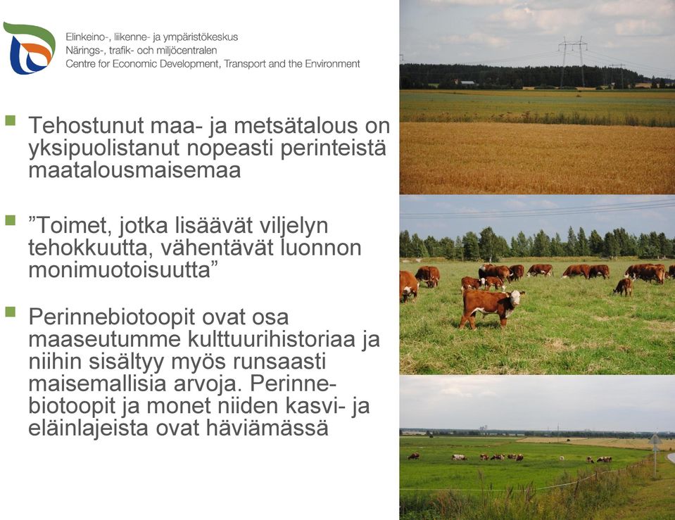 Perinnebiotoopit ovat osa maaseutumme kulttuurihistoriaa ja niihin sisältyy myös