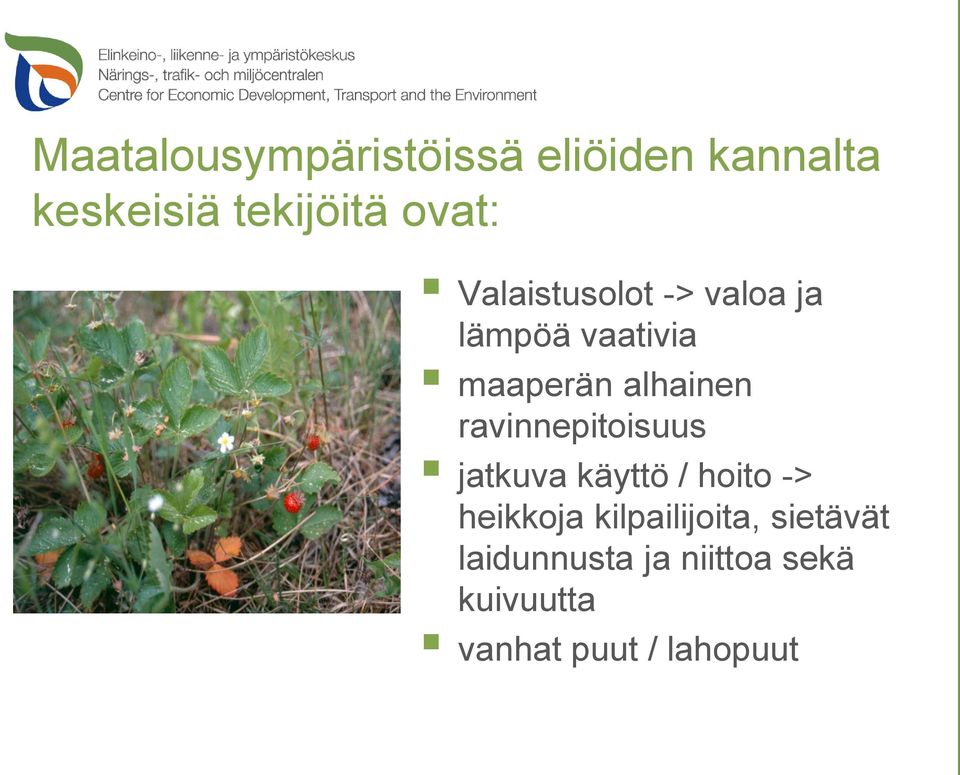 ravinnepitoisuus jatkuva käyttö / hoito -> heikkoja