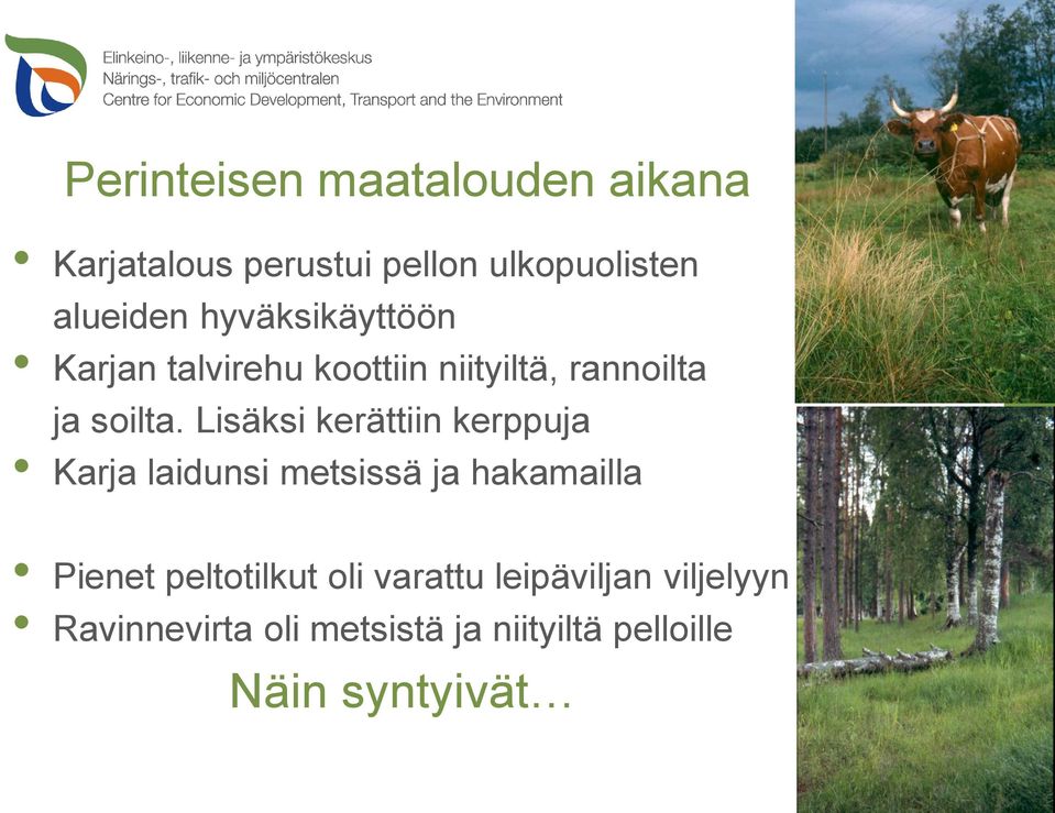 Lisäksi kerättiin kerppuja Karja laidunsi metsissä ja hakamailla Pienet peltotilkut