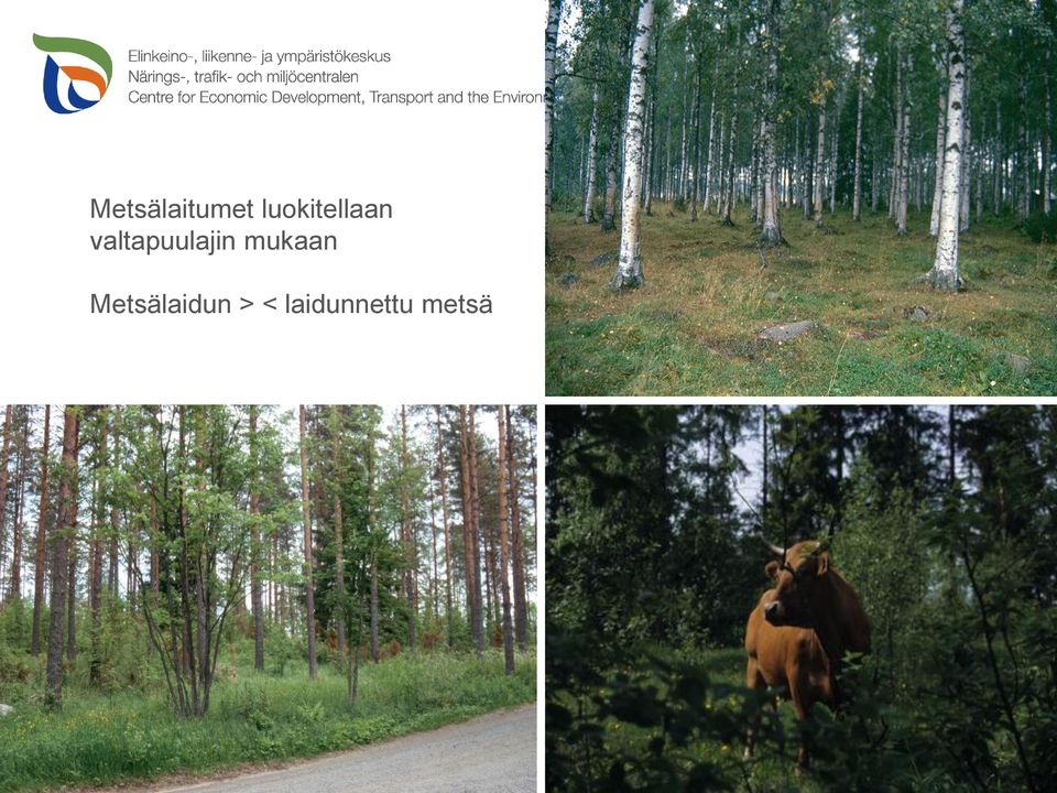 valtapuulajin mukaan