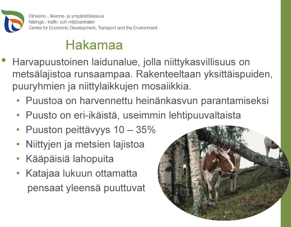 Puustoa on harvennettu heinänkasvun parantamiseksi Puusto on eri-ikäistä, useimmin