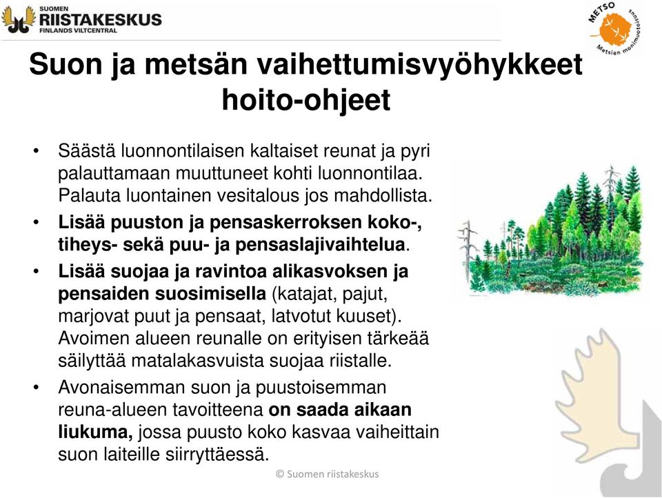 Lisää suojaa ja ravintoa alikasvoksen ja pensaiden suosimisella (katajat, pajut, marjovat puut ja pensaat, latvotut kuuset).