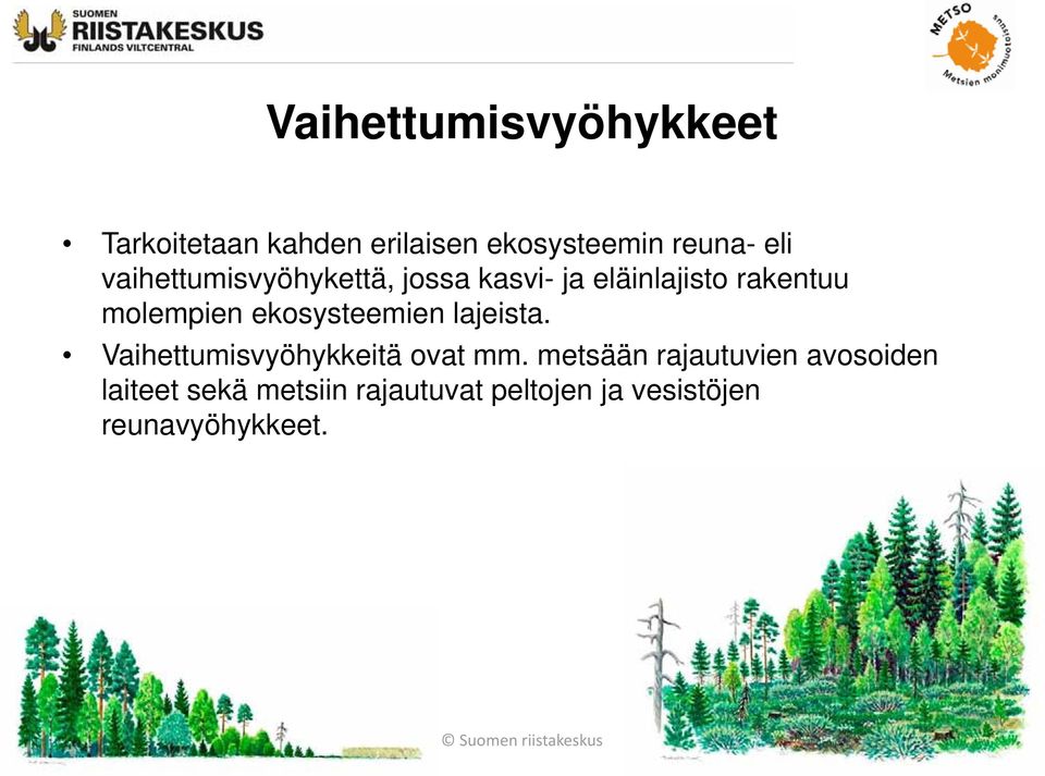 ekosysteemien lajeista. Vaihettumisvyöhykkeitä ovat mm.