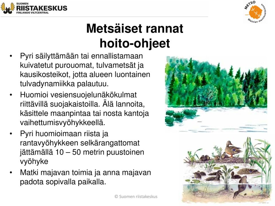 Huomioi vesiensuojelunäkökulmat riittävillä suojakaistoilla.