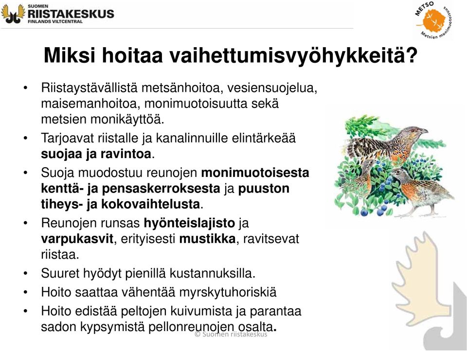 Suoja muodostuu reunojen monimuotoisesta kenttä- ja pensaskerroksesta ja puuston tiheys- ja kokovaihtelusta.