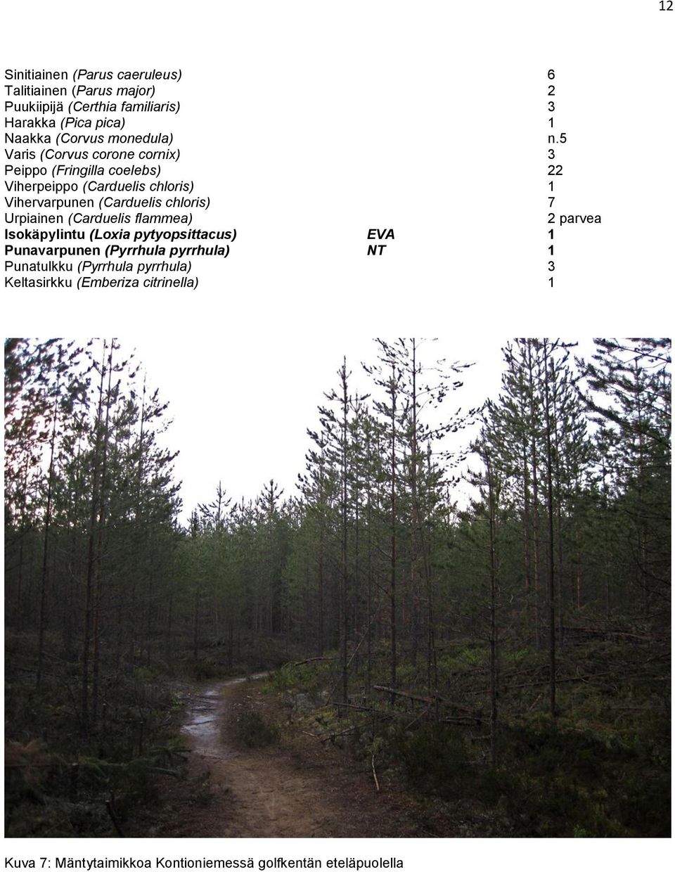 5 Varis (Corvus corone cornix) 3 Peippo (Fringilla coelebs) 22 Viherpeippo (Carduelis chloris) 1 Vihervarpunen (Carduelis chloris) 7