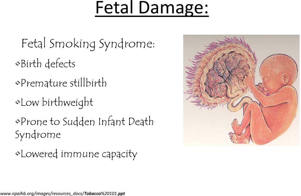 Sudden Infant Death Syndrome Lowered immune