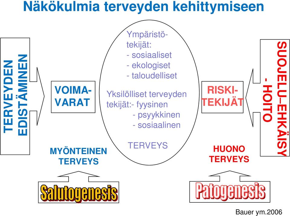 taloudelliset Yksilölliset terveyden tekijät:- fyysinen - psyykkinen -