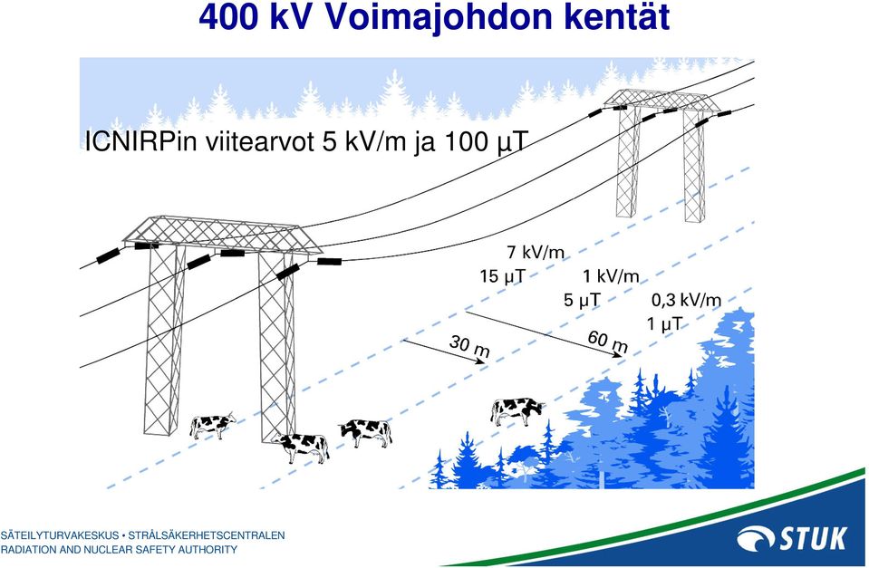 kentät ICNIRPin