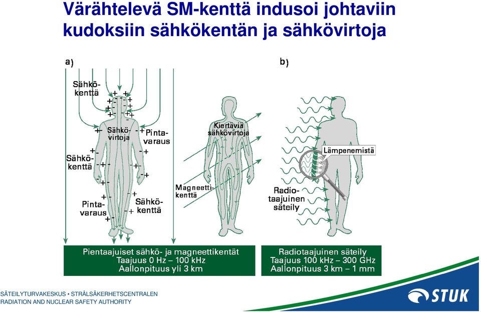 johtaviin kudoksiin