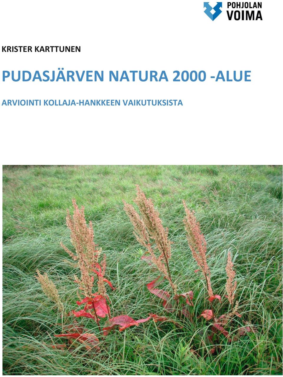 2000 -ALUE ARVIOINTI