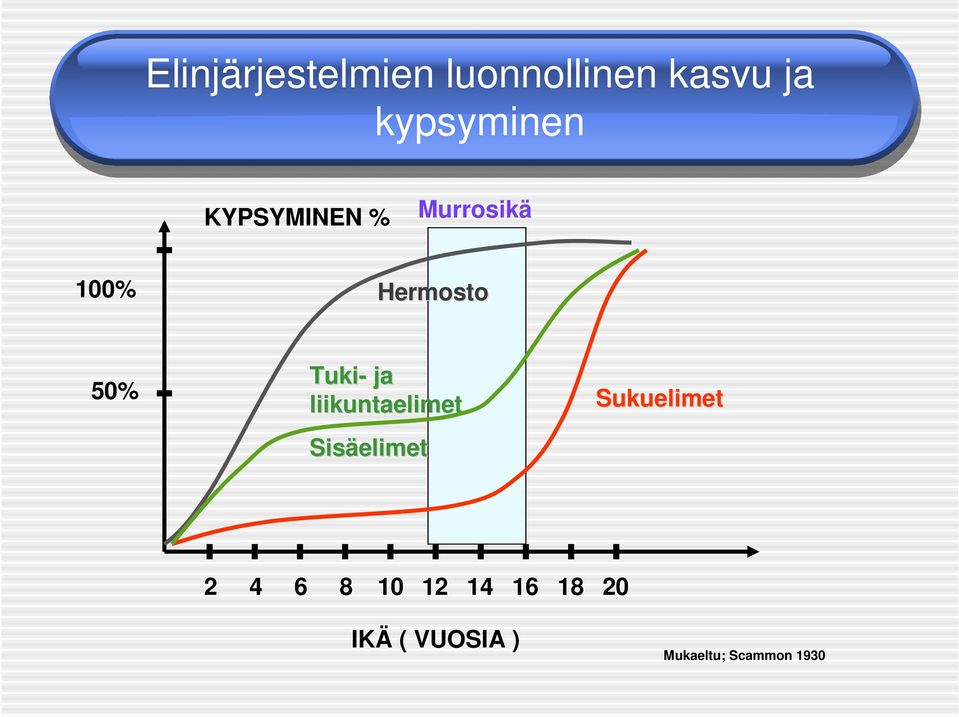 liikuntaelimet Sisäelimet Sukuelimet 2 4 6 8 10 12