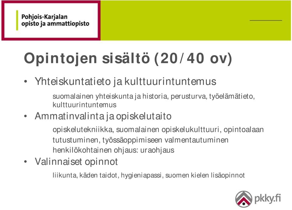 opiskelutekniikka, suomalainen opiskelukulttuuri, opintoalaan tutustuminen, työssäoppimiseen