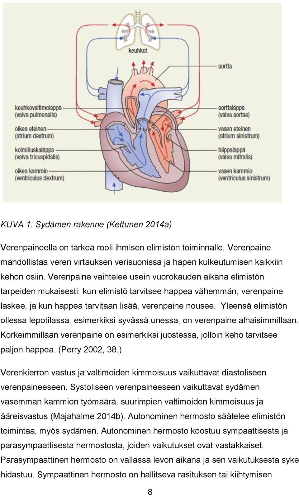 Verenpaine vaihtelee usein vuorokauden aikana elimistön tarpeiden mukaisesti: kun elimistö tarvitsee happea vähemmän, verenpaine laskee, ja kun happea tarvitaan lisää, verenpaine nousee.