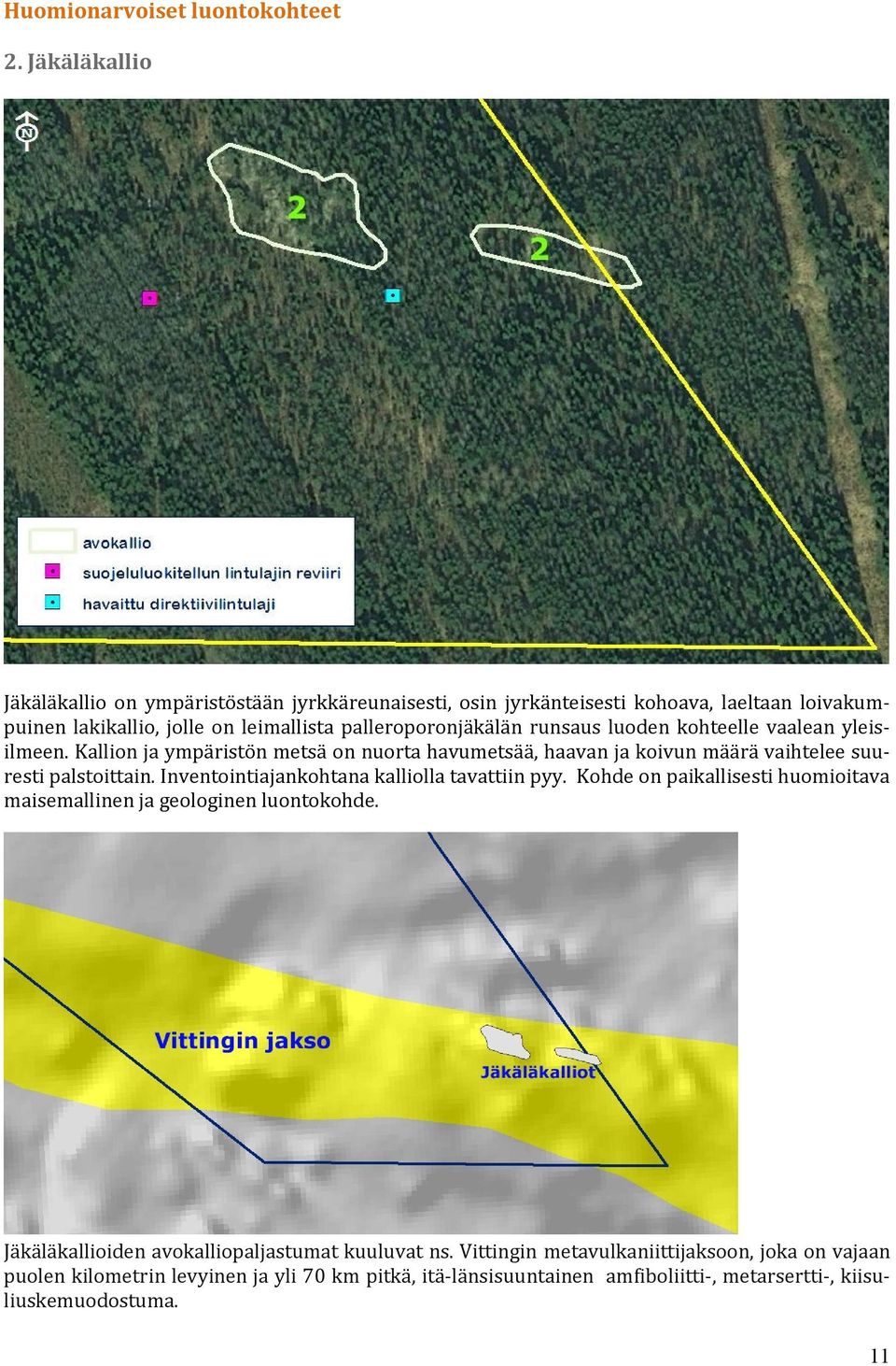 runsaus luoden kohteelle vaalean yleisilmeen. Kallion ja ympäristön metsä on nuorta havumetsää, haavan ja koivun määrä vaihtelee suuresti palstoittain.