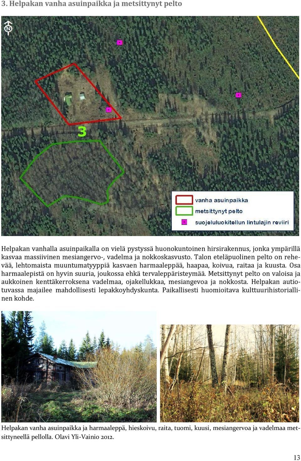 Osa harmaalepistä on hyvin suuria, joukossa ehkä tervaleppäristeymää. Metsittynyt pelto on valoisa ja aukkoinen kenttäkerroksena vadelmaa, ojakellukkaa, mesiangevoa ja nokkosta.