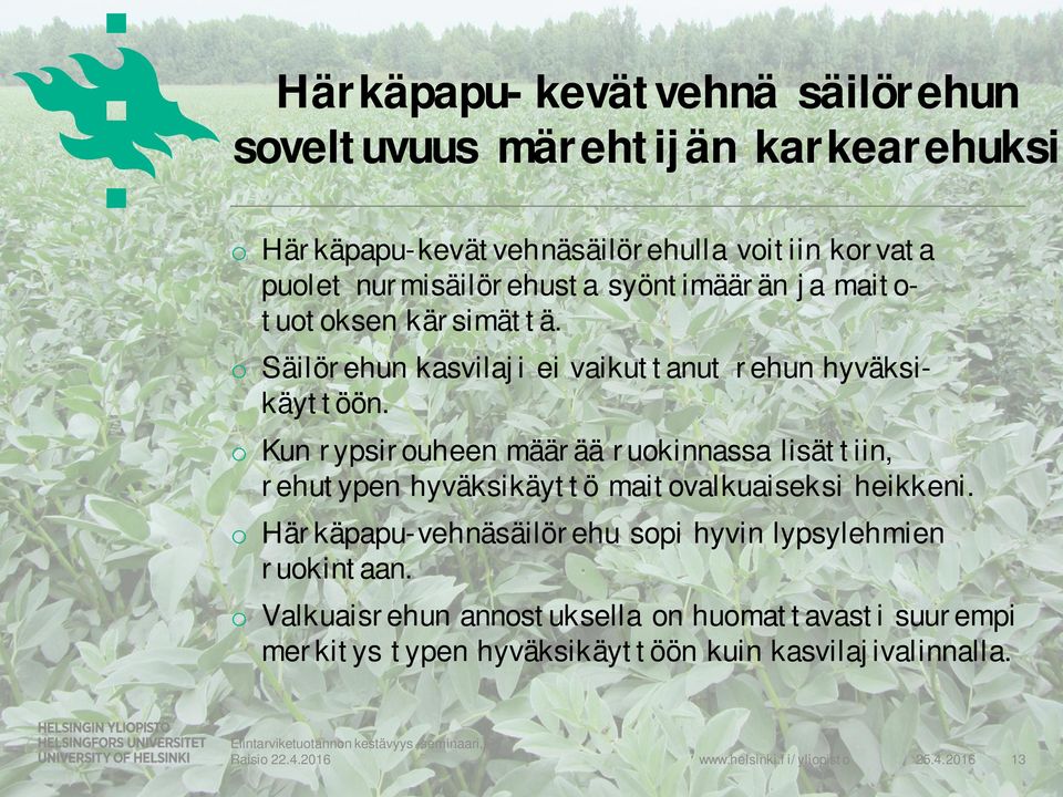 o Kun rypsirouheen määrää ruokinnassa lisättiin, rehutypen hyväksikäyttö maitovalkuaiseksi heikkeni.