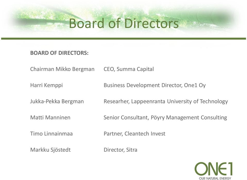Capital Business Development Director, One1 Oy Researher, Lappeenranta University of