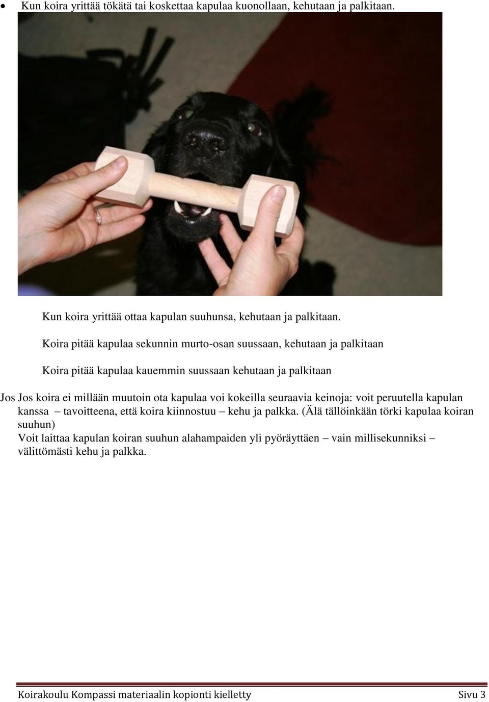 muutoin ota kapulaa voi kokeilla seuraavia keinoja: voit peruutella kapulan kanssa tavoitteena, että koira kiinnostuu kehu ja palkka.