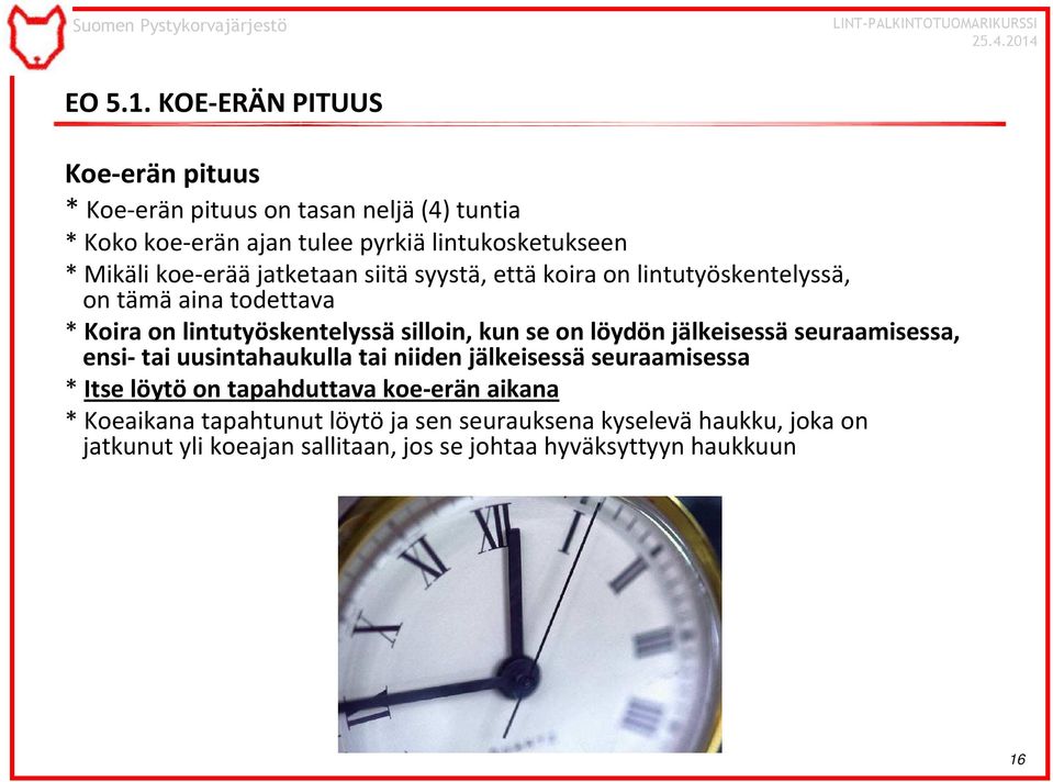 koe-erääjatketaan siitäsyystä, ettäkoira on lintutyöskentelyssä, on tämä aina todettava * Koira on lintutyöskentelyssäsilloin, kun se on