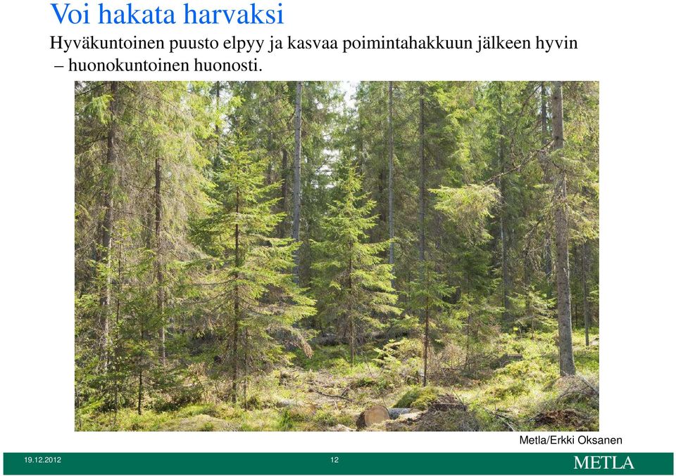 poimintahakkuun jälkeen hyvin