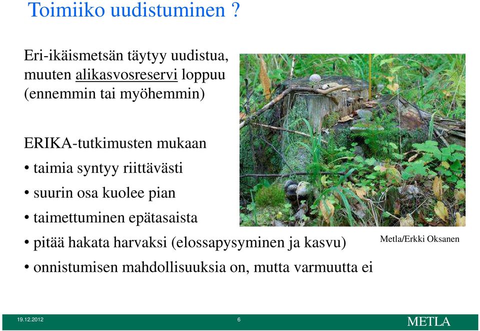 myöhemmin) ERIKA-tutkimusten mukaan taimia syntyy riittävästi suurin osa kuolee pian