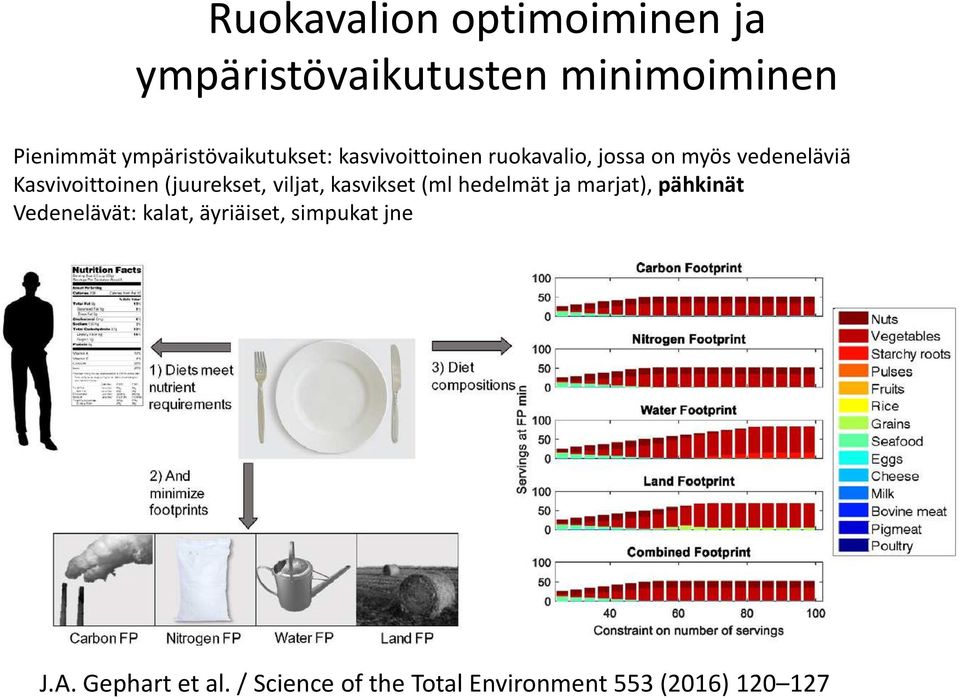 Kasvivoittoinen (juurekset, viljat, kasvikset (ml hedelmät ja marjat), pähkinät