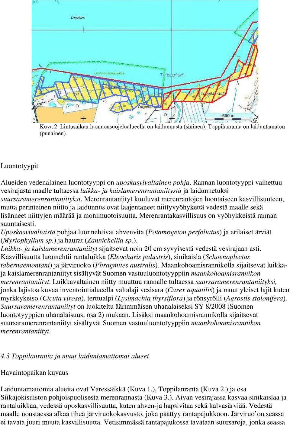 Merenrantaniityt kuuluvat merenrantojen luontaiseen kasvillisuuteen, mutta perinteinen niitto ja laidunnus ovat laajentaneet niittyvyöhykettä vedestä maalle sekä lisänneet niittyjen määrää ja