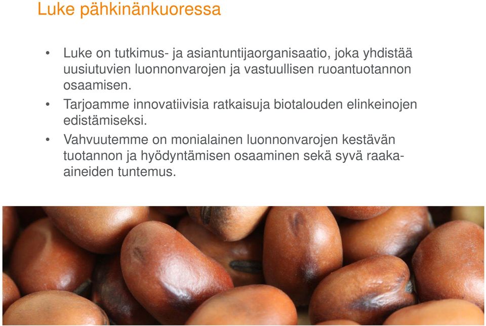 Tarjoamme innovatiivisia ratkaisuja biotalouden elinkeinojen edistämiseksi.