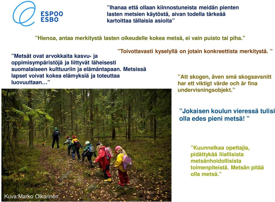 Metsät ovat arvokkaita kasvu- ja oppimisympäristöjä ja liittyvät läheisesti suomalaiseen kulttuuriin ja elämäntapaan.