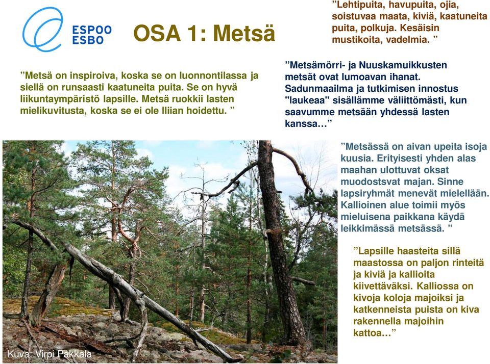 Metsämörri- ja Nuuskamuikkusten metsät ovat lumoavan ihanat.