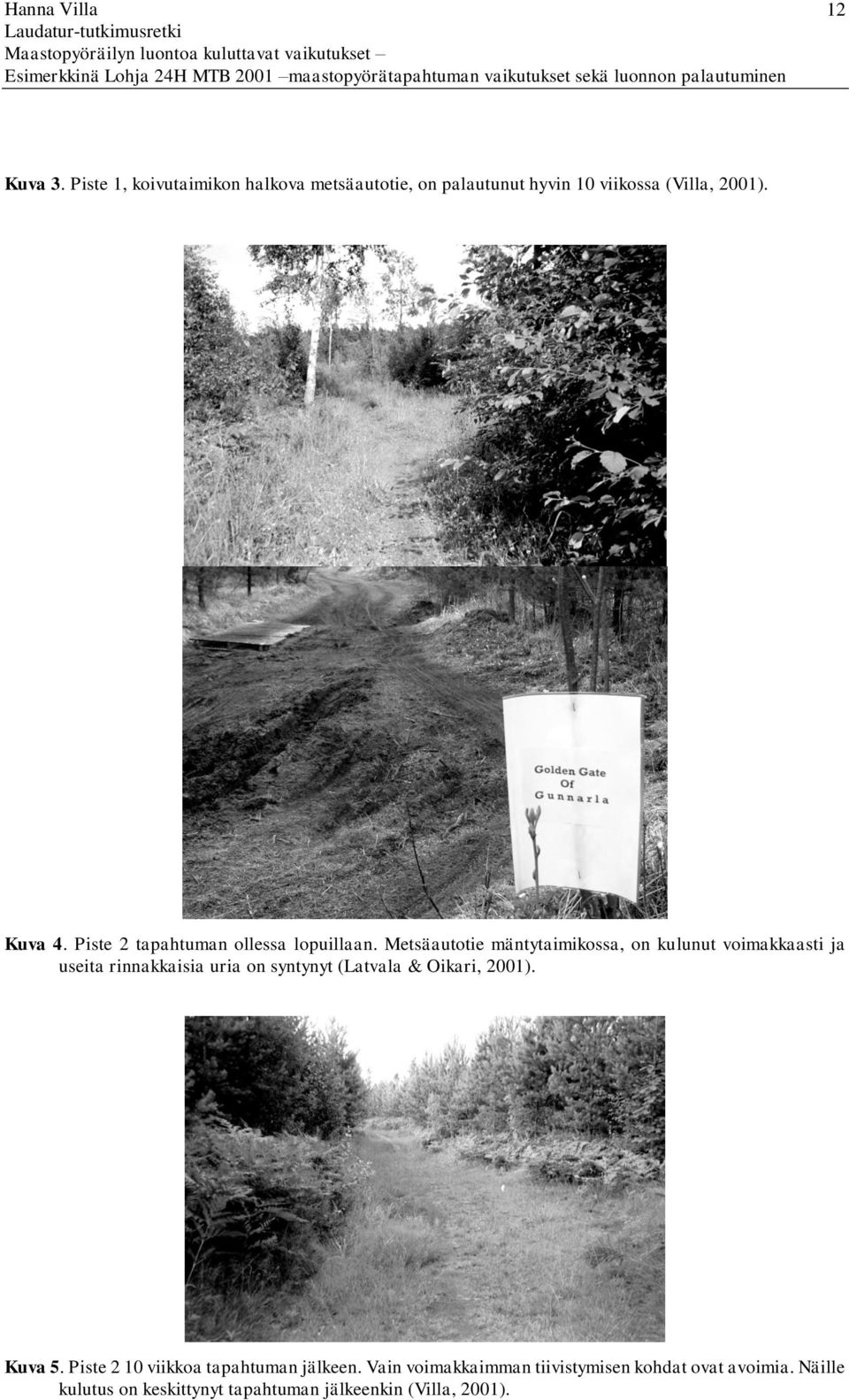 Metsäautotie mäntytaimikossa, on kulunut voimakkaasti ja useita rinnakkaisia uria on syntynyt (Latvala &