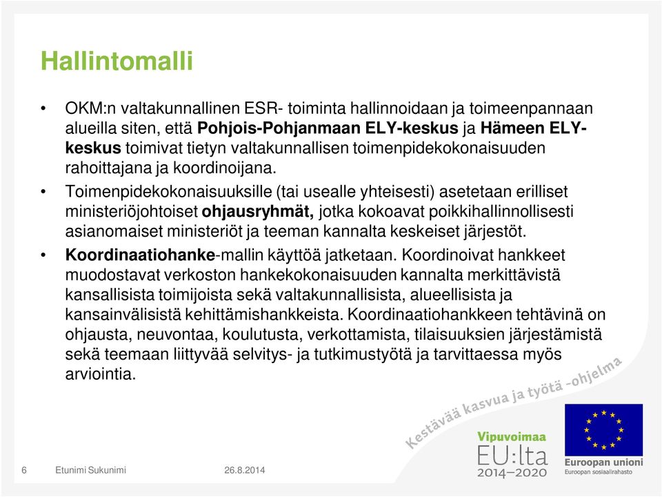 Toimenpidekokonaisuuksille (tai usealle yhteisesti) asetetaan erilliset ministeriöjohtoiset ohjausryhmät, jotka kokoavat poikkihallinnollisesti asianomaiset ministeriöt ja teeman kannalta keskeiset