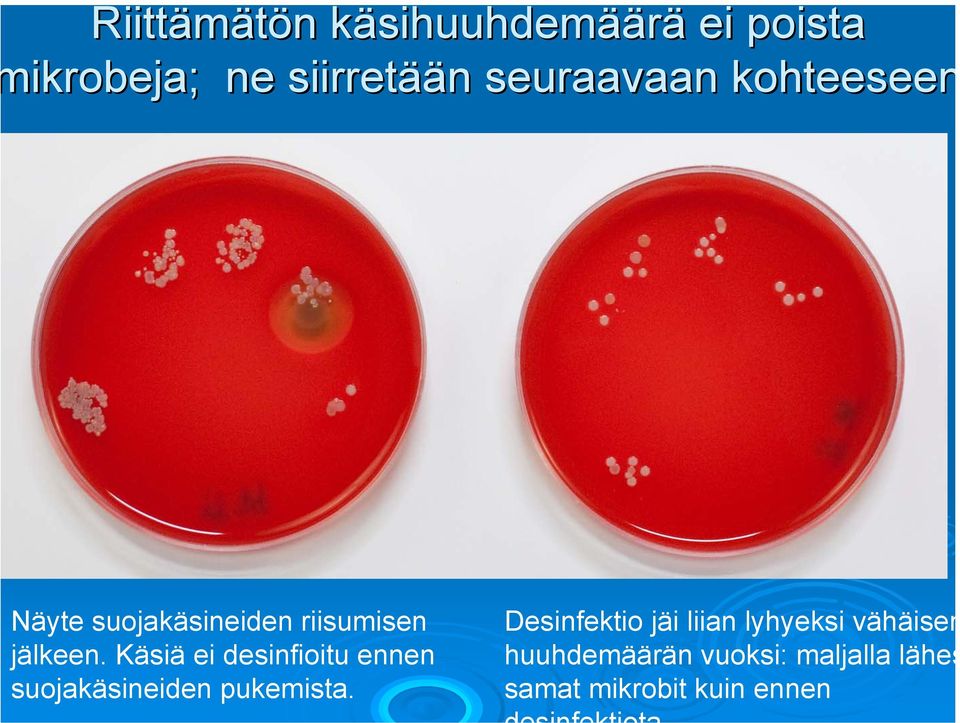 Käsiä ei desinfioitu ennen suojakäsineiden pukemista.