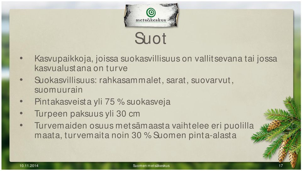 75 % suokasveja Turpeen paksuus yli 30 cm Turvemaiden osuus metsämaasta vaihtelee eri