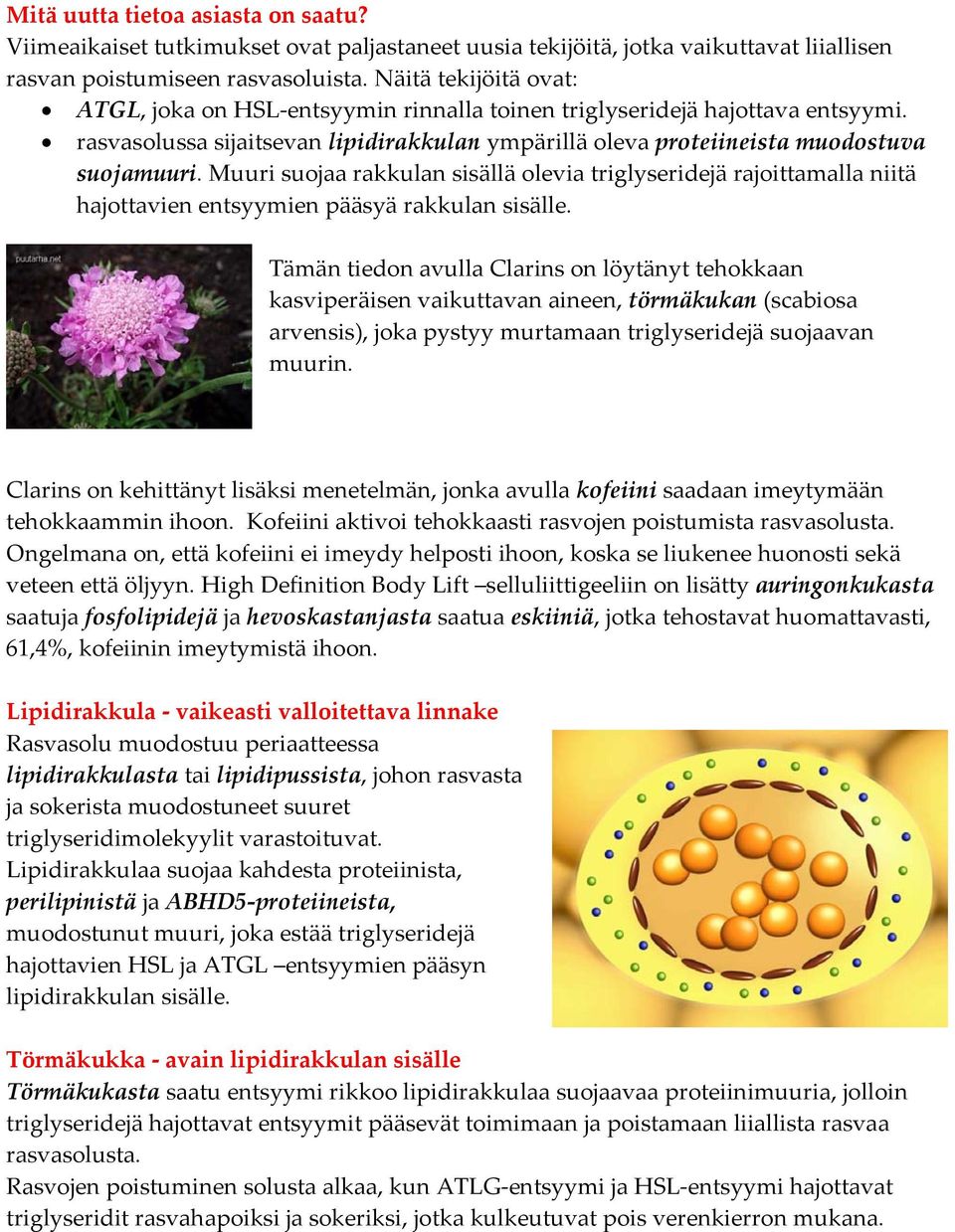 Muuri suojaa rakkulan sisällä olevia triglyseridejä rajoittamalla niitä hajottavien entsyymien pääsyä rakkulan sisälle.