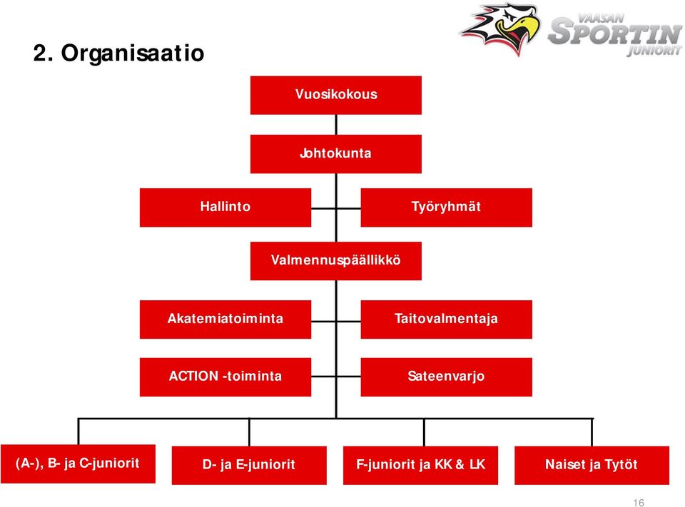 Taitovalmentaja ACTION -toiminta Sateenvarjo (A-), B-