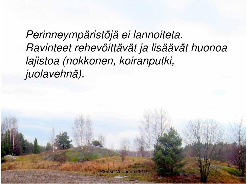 Ravinteet rehevöittävät ja
