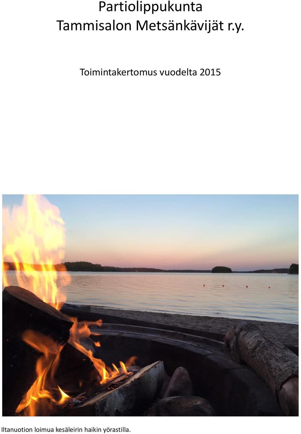Toimintakertomus vuodelta 2015