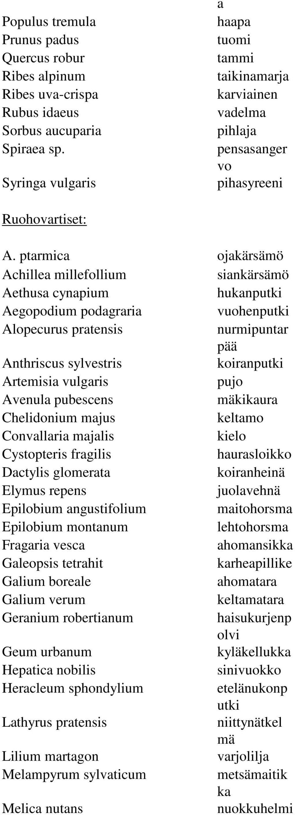 ptarmica ojakärsämö Achillea millefollium siankärsämö Aethusa cynapium hukanputki Aegopodium podagraria vuohenputki Alopecurus pratensis nurmipuntar pää Anthriscus sylvestris koiranputki Artemisia