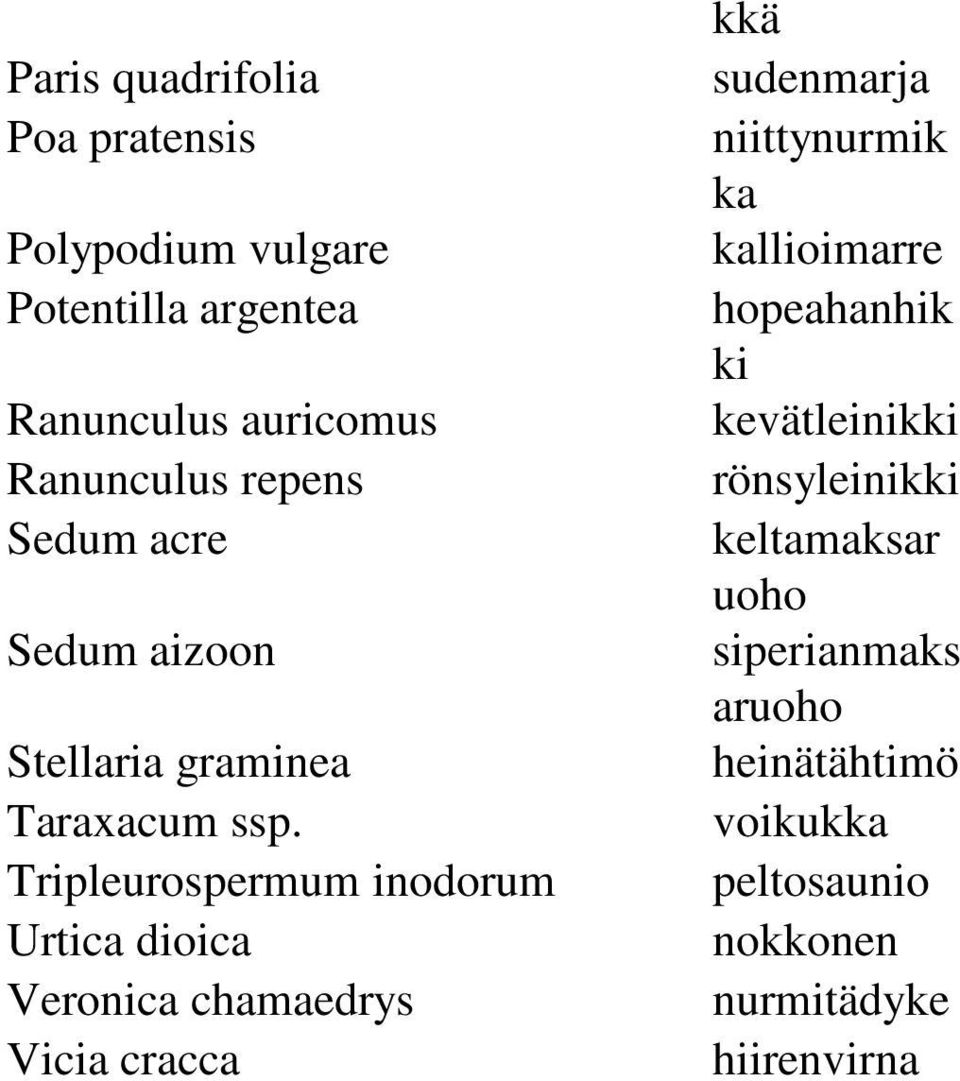 Tripleurospermum inodorum Urtica dioica Veronica chamaedrys Vicia cracca kkä sudenmarja niittynurmik ka