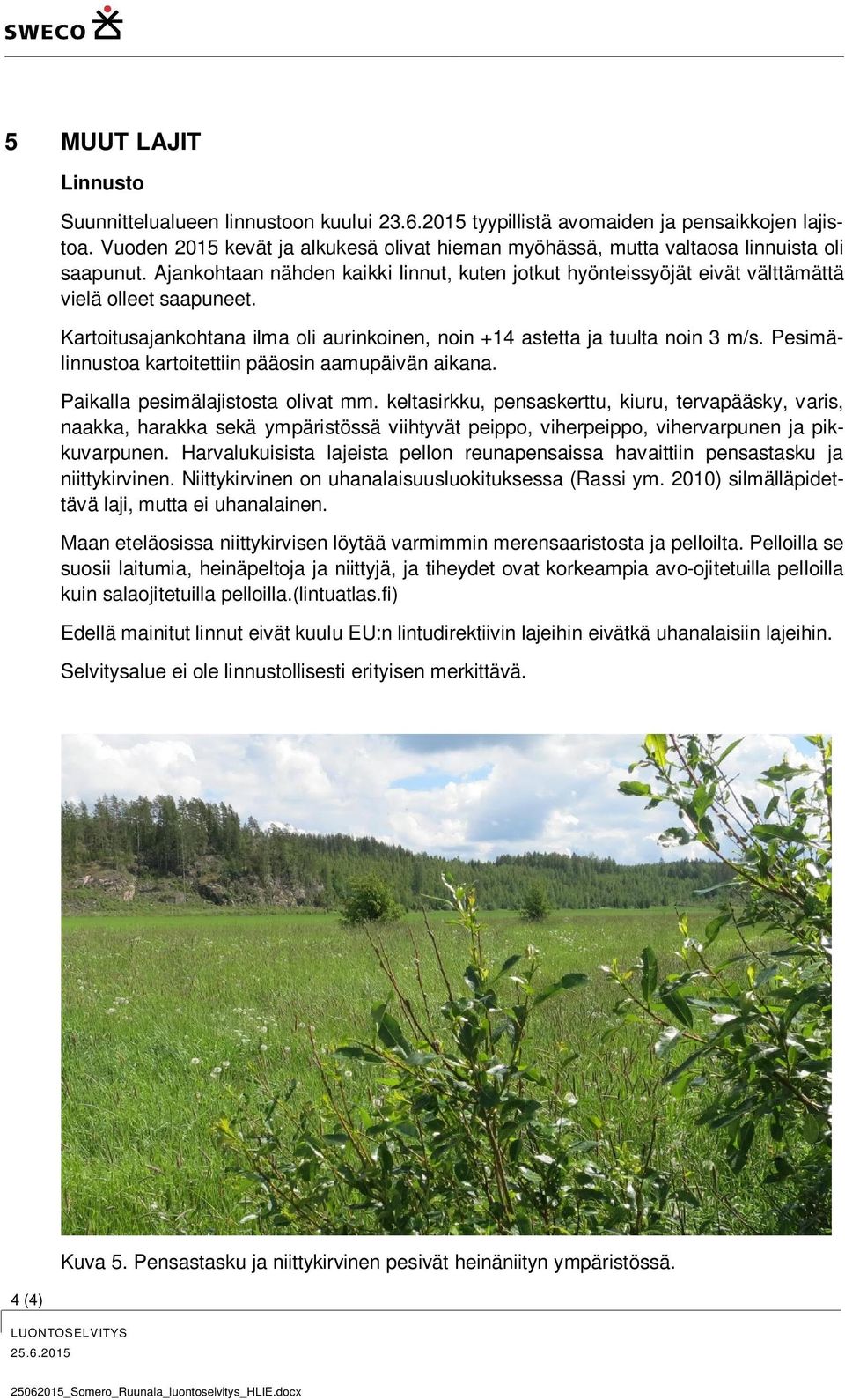 Kartoitusajankohtana ilma oli aurinkoinen, noin +14 astetta ja tuulta noin 3 m/s. Pesimälinnustoa kartoitettiin pääosin aamupäivän aikana. Paikalla pesimälajistosta olivat mm.