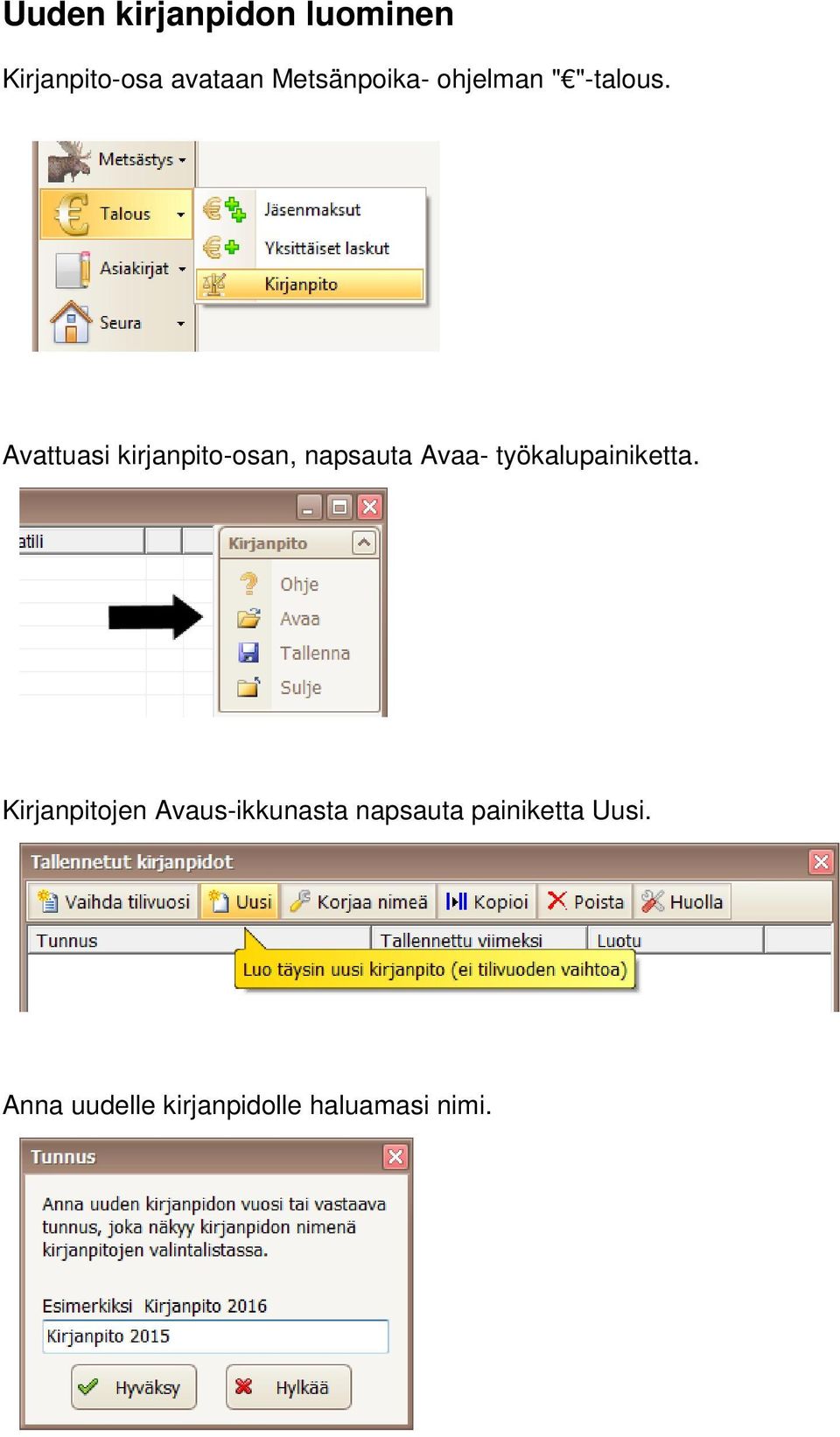 Avattuasi kirjanpito-osan, napsauta Avaa- työkalupainiketta.