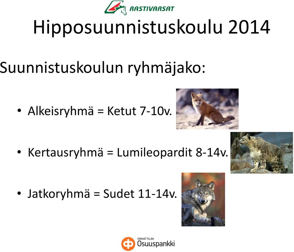 Kertausryhmä = Lumileopardit