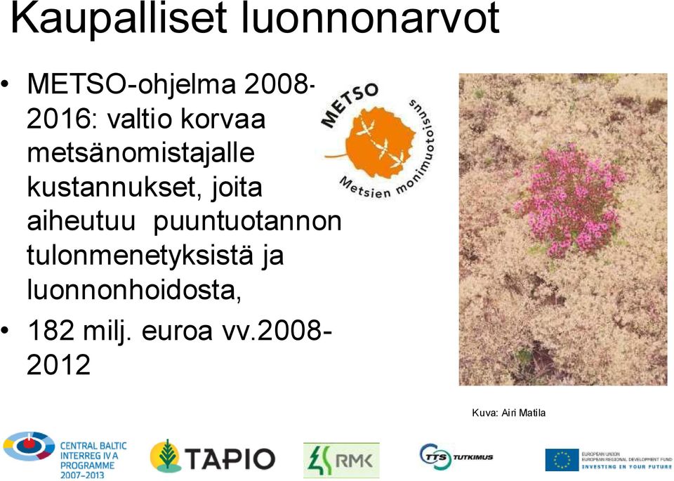 aiheutuu puuntuotannon tulonmenetyksistä ja