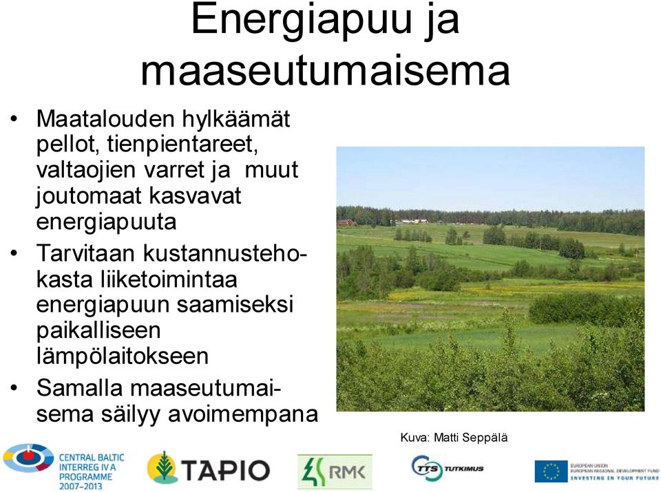 energiapuuta Tarvitaan kustannustehokasta liiketoimintaa energiapuun