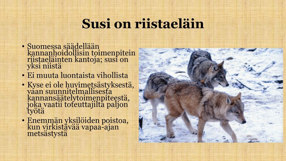 suunnitelmallisesta kannansäätelytoimenpiteestä, joka vaatii toteuttajilta paljon