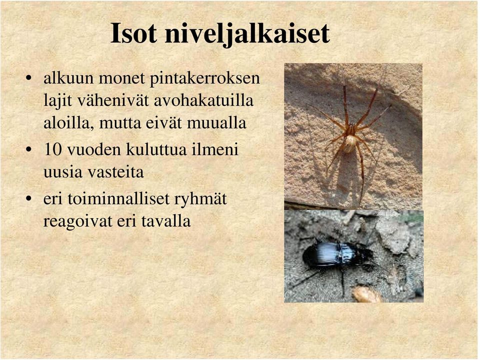 eivät muualla 10 vuoden kuluttua ilmeni uusia